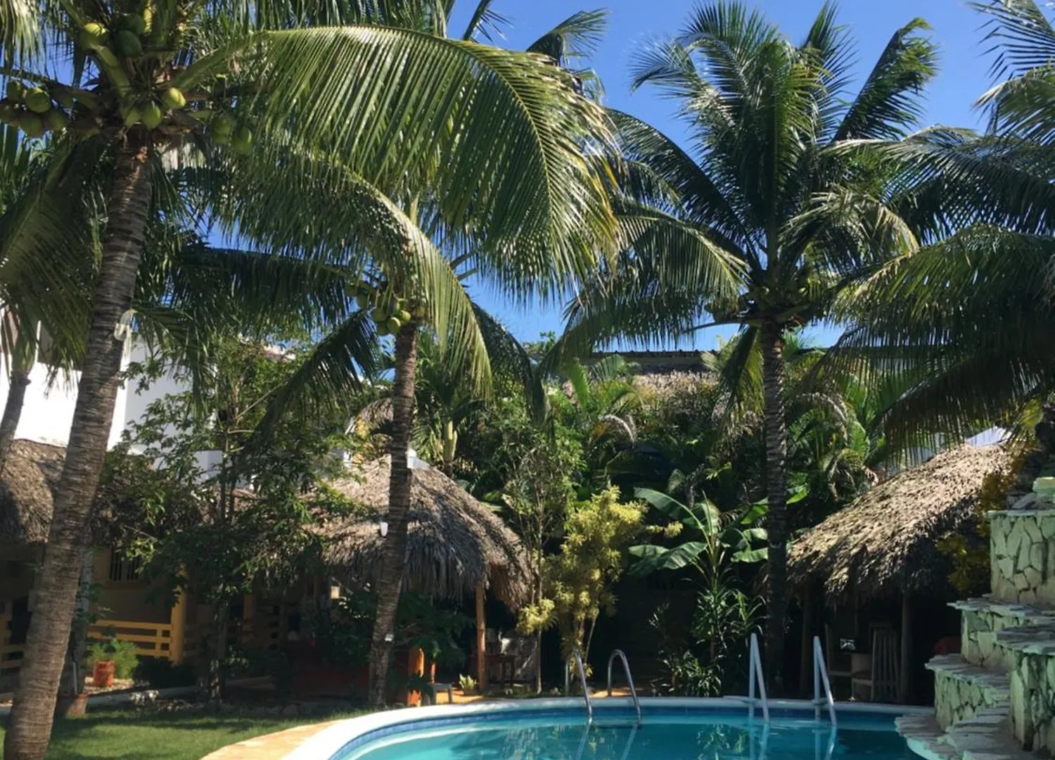 New Haven Guesthouse contacts